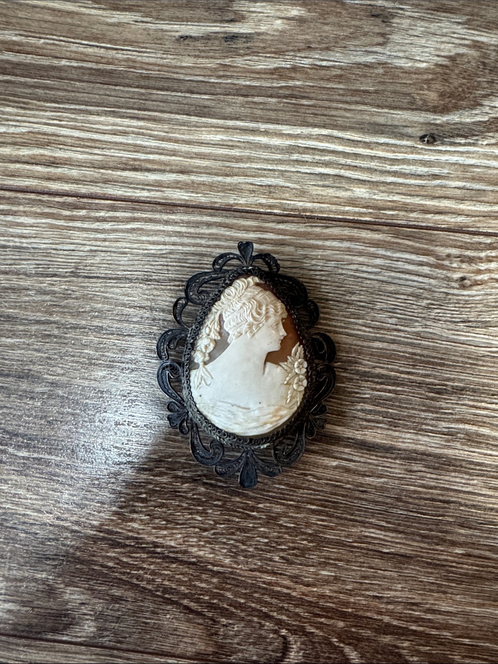 Antique Cream Cameo Brooch with Black Ornate Frame